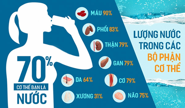 Bạn nên uống đủ 2 lít nước mỗi ngày